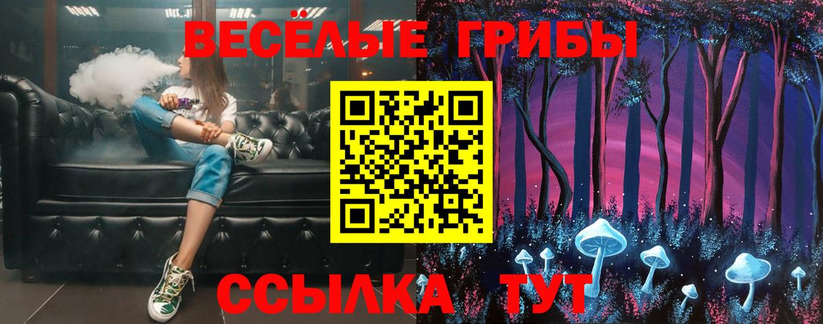 Псилоцибиновые грибы Psilocybe  Вход с VPN  Югорск 